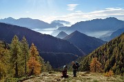 20 Usciti dall'abetaia attraversaiamo un rado lariceto colorato d'autunno